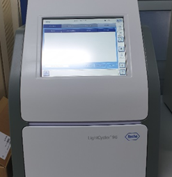 Real-time PCR (4)