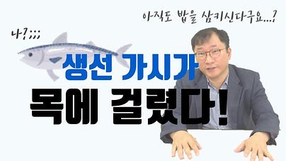 식도이물, 생선가시가 목에 걸렸다! 아직도 밥을 삼키신다구요? 식도이물